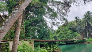 Kodam III/Slw Akan Renovasi Jembatan Gantung Batukaras Pangandaran