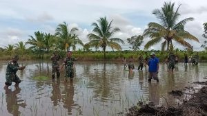 Dukung Program Ketahanan Pangan, Satgas Yonif 315/Garuda Dampingi Petani di Distrik Kimaam
