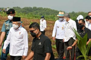 Kunjungi Purwakarta, Simbolis Wapres Tanam Jagung dan Kedelai