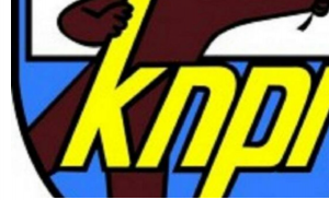 Musda KNPI Tertunda, Ini Kata Steering Committee