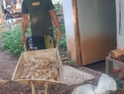 1300 Ekor Burung Puyuh Mati, Faktor Penyebabnya Hama dan Cuaca