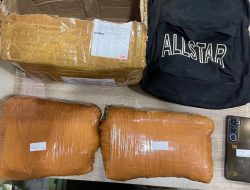 Polda Metro Jaya Menggagalkan Peredaran Ganja 2 Kg di Depok