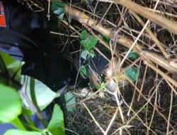 Potongan Tubuh Korban Mutilasi dalam Freezer Ditemukan di Bogor