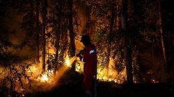 Kalimantan Dikepung Ribuan Titik Panas, Kabut Asap Pekat Mulai Lumpuhkan Aktivitas Warga dan Ancam Kesehatan Anak