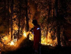 Kalimantan Dikepung Ribuan Titik Panas, Kabut Asap Pekat Mulai Lumpuhkan Aktivitas Warga dan Ancam Kesehatan Anak