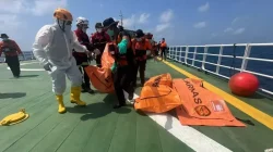 Menembus Kedalaman Laut Jawa: Perjuangan 63 Penyelam Cari 57 Korban Hilang KM Virgo Transport 8
